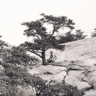 1985 - Stone Mountain, NC