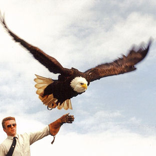 1994 - Yorkshire Dales