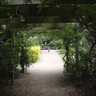 2007 - Open Garden Squares thumb