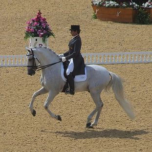 2012 - Dressage