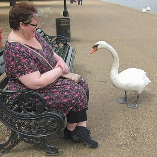 2013 - Serpentine thumb