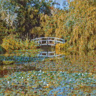 2016 - Dorset, Devon, & Cornwall