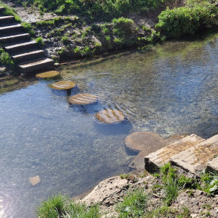 2025 - Hogsmill Walks